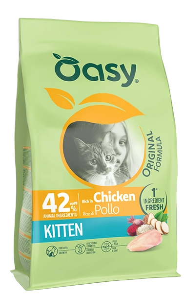 ORIGINAL • Kitten Chicken